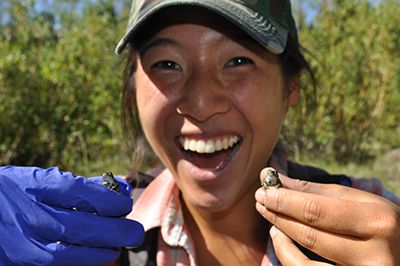 Image of a volunteer holding an amphibian.