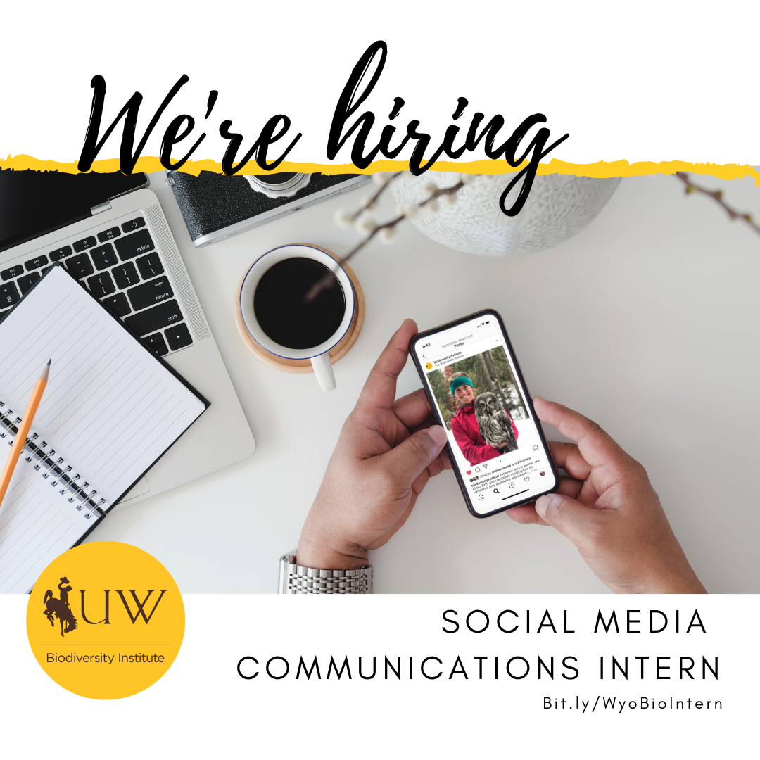 Text: Social Media Internship - Job Posting