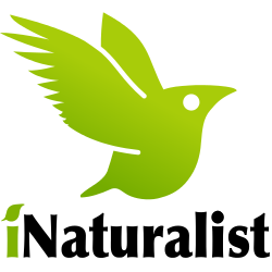 Join us on iNaturalist