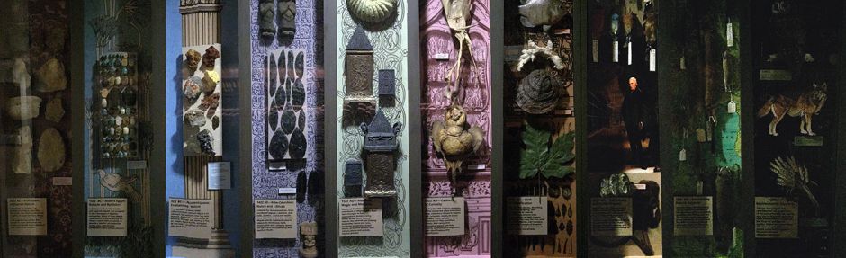 photo of natural history artifacts 