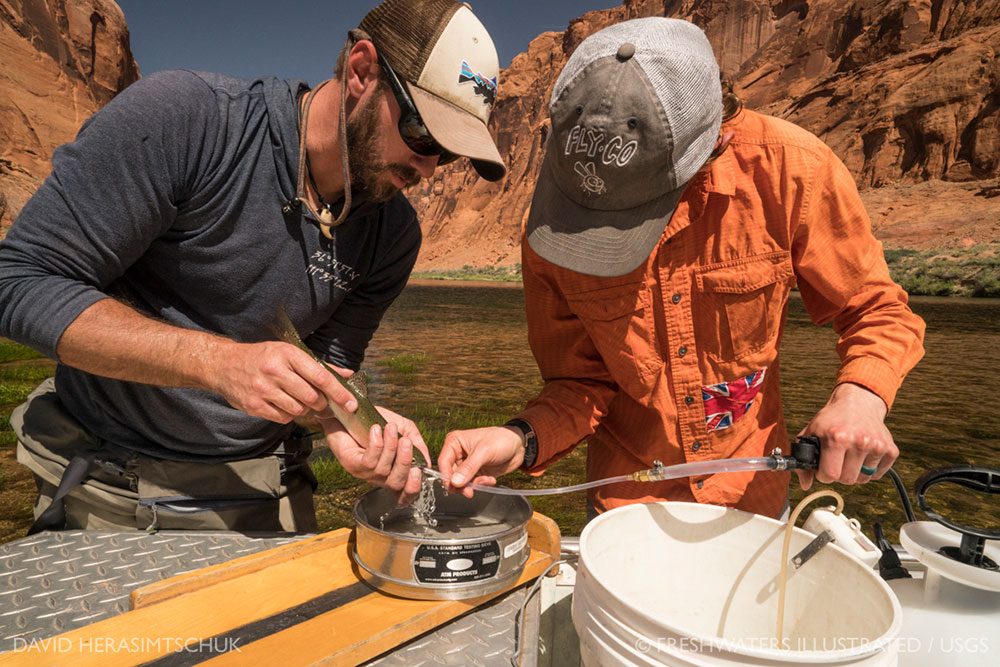 A photo of Morgan Ford and a coworker work with a sample of the riverside. 