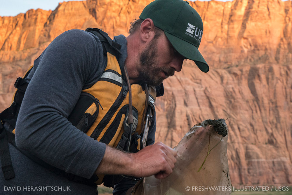 A photo of Morgan Ford checking a sample on a river side. 