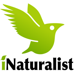 250px-INaturalist_logo.svg.png