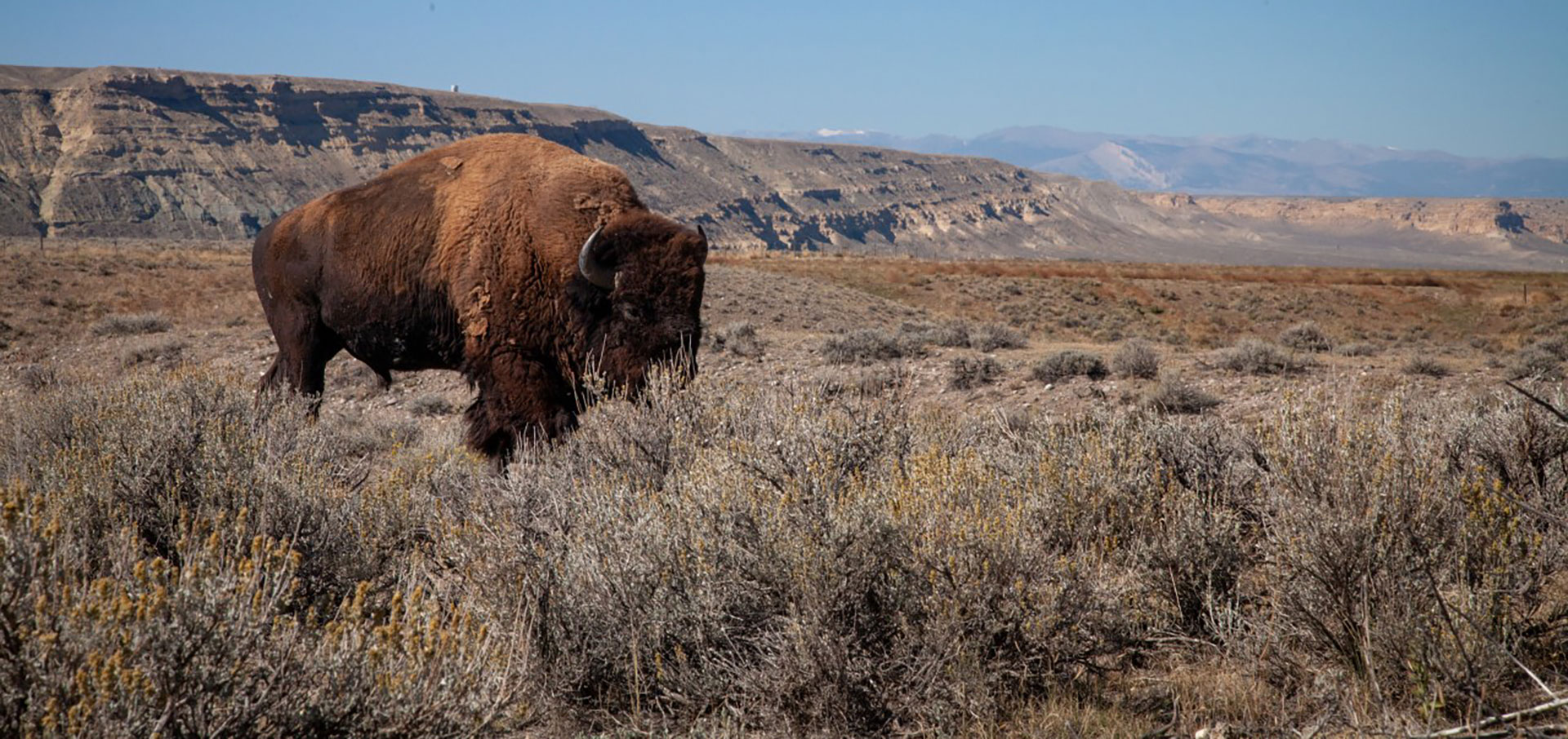 Biodiversity Graduate Student Research Enhancement Grants Open